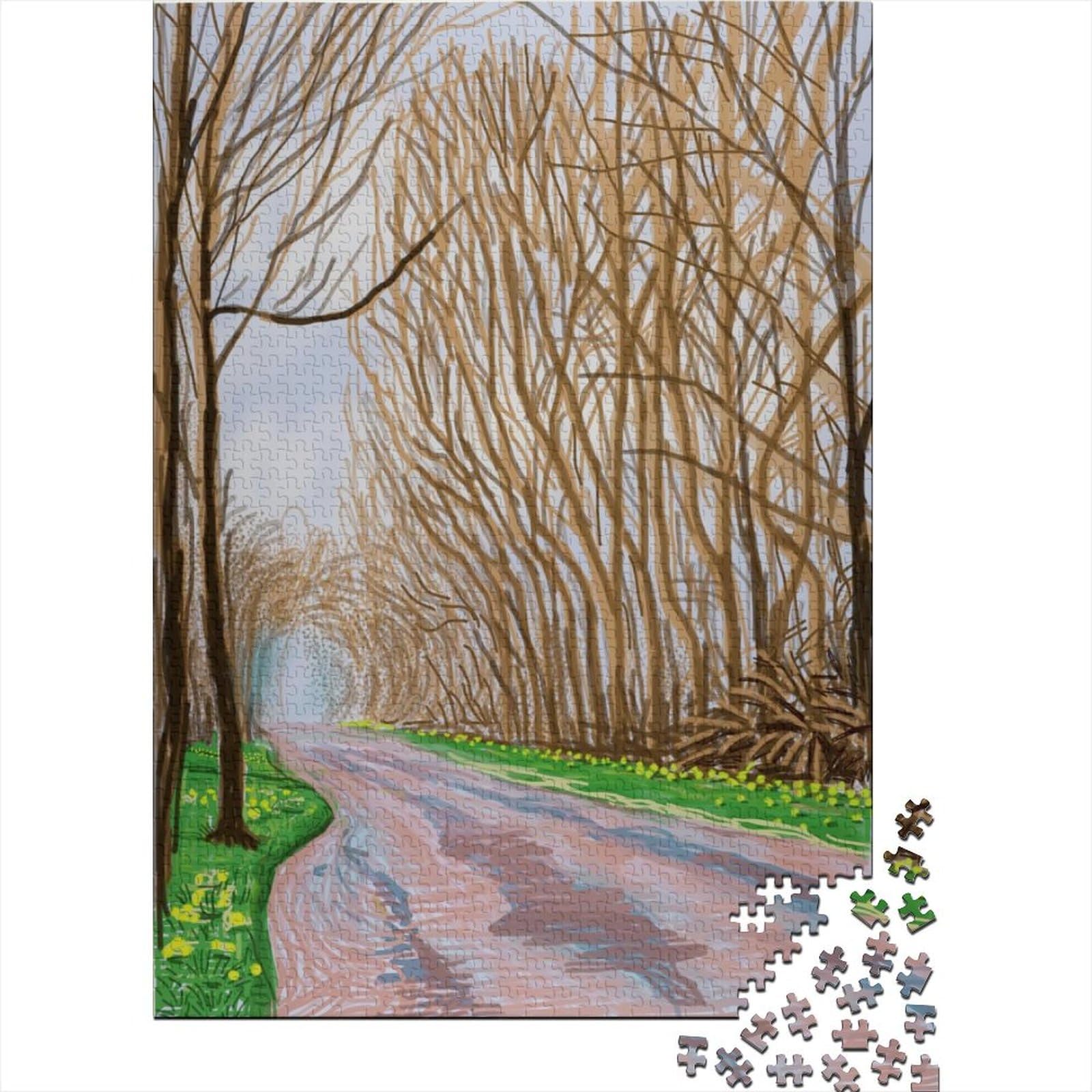 David Hockney Puzzles Wooden 1000 Piece Oil Painting Jigsaws Impossible World Famous Paintings Jigsaws Museum Puzzles Challenge Toy Home Decoration