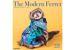 2024 Ferret Wall Calendar