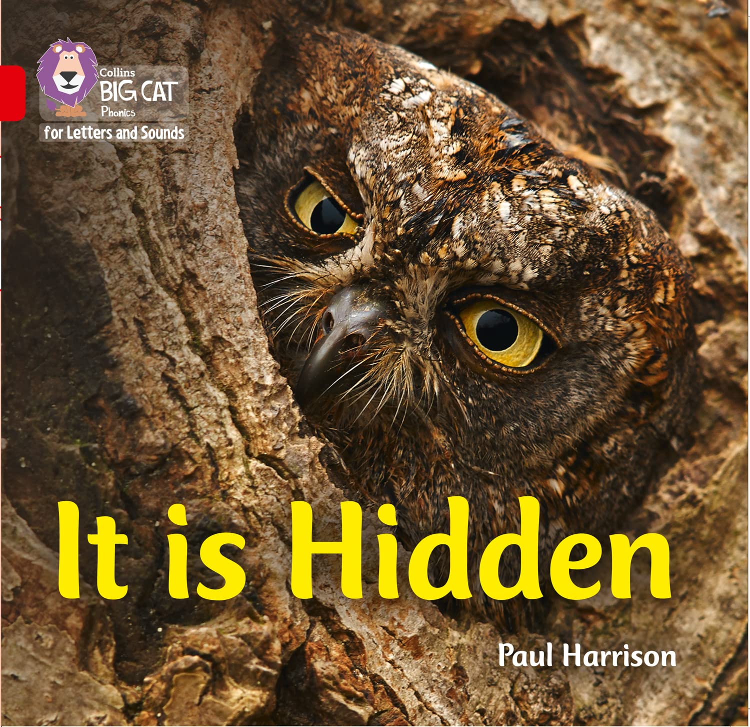 It is Hidden: Band 02B/Red B (Collins Big Cat Phonics for Letters and Sounds)