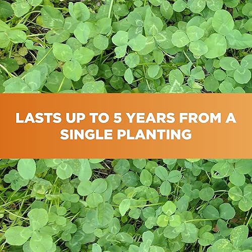 Miniatura 10 de Whitetail Institute Imperial semillas de trébol para alimento