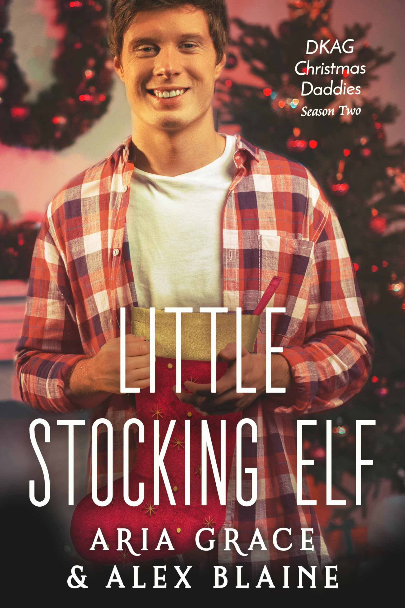 Little Stocking Elf: M/M Daddy Kink Christmas Romance