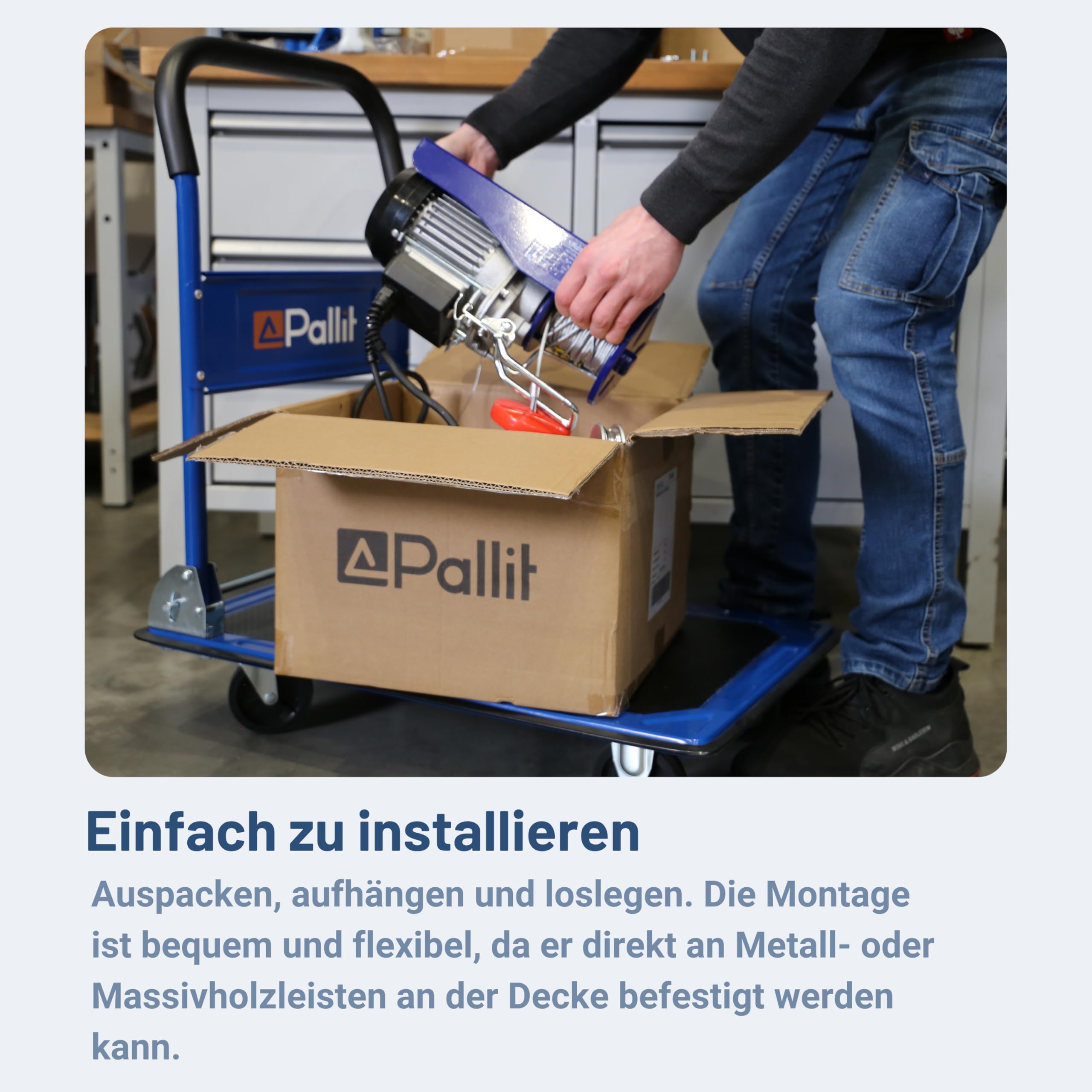 Pallit Seilwinde Elektrisch 230v Tragkraft 250 kg/12 m | 500 kg/6 m (Einzel-/Doppelhaken) inkl. Kabelfernbedieung mit 1,6 m Kabellänge HOIST Seilzug Seilhebezug Kettenzug Flaschenzug
