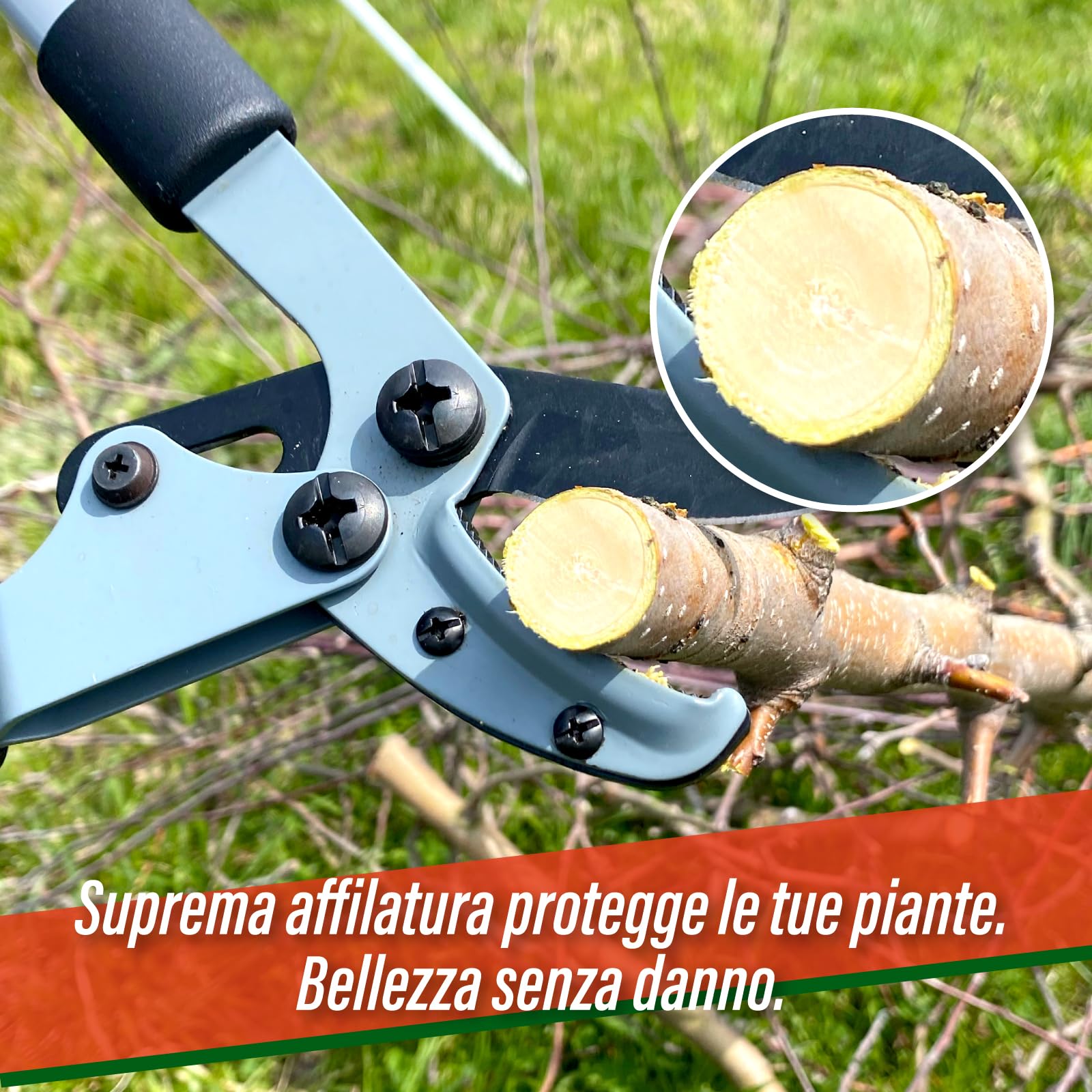 SUIZAN Troncarami a incudine 465mm - Taglia rami giapponese professionale leggero e compatto Attrezzi da Giardinaggio