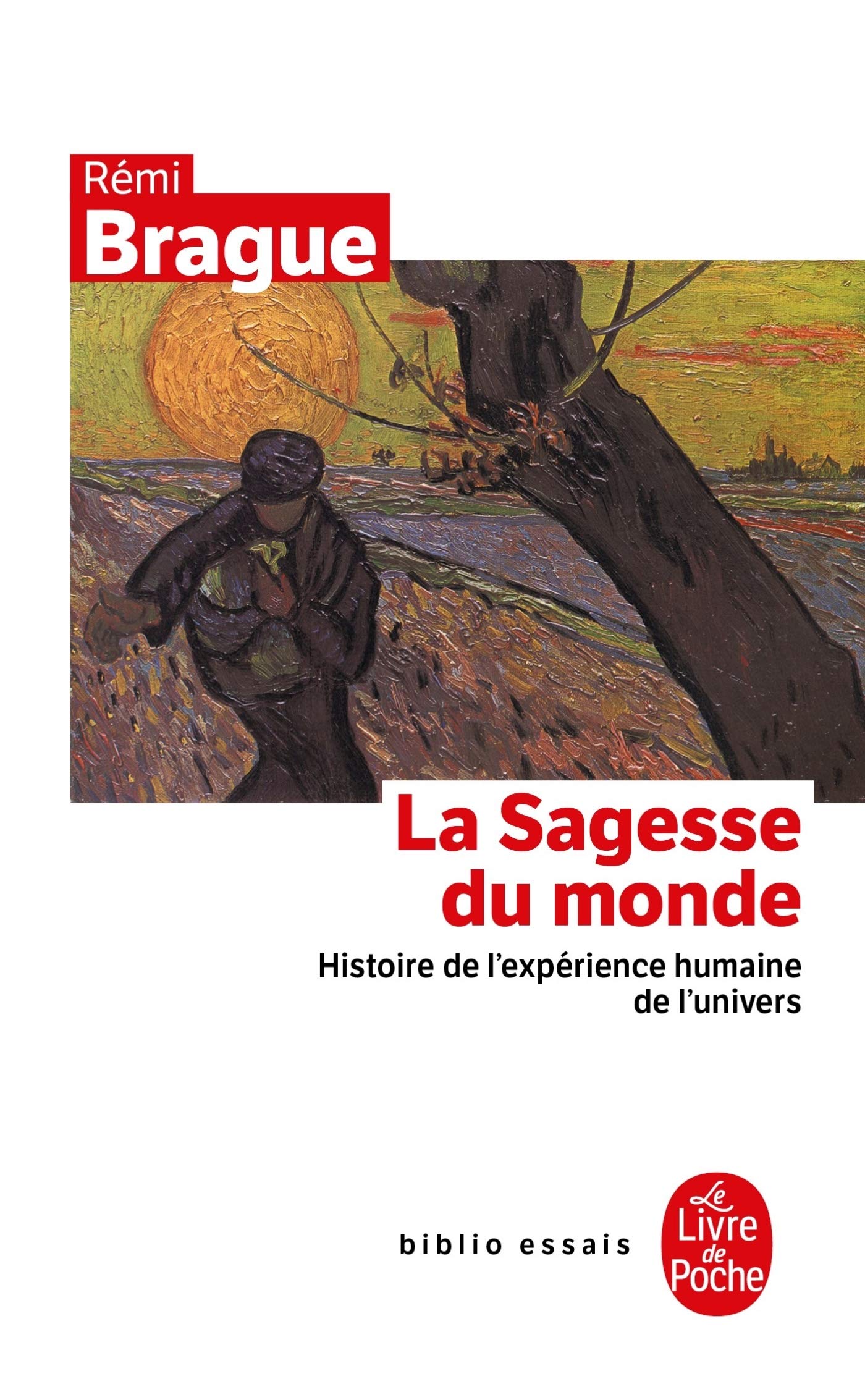 La Sagesse du monde: Histoire de l'expérience humaine de l'univers