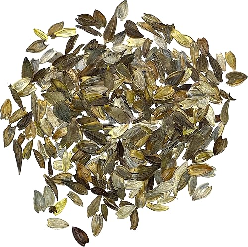 Miniatura 7 de Seed Needs Semillas de Zinnia para plantar mezcla de zinnias de California Giants, reliquia y flores polinizadas abiertas para cultivar un jardín de