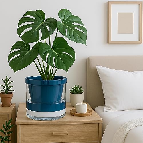 Miniatura 10 de D'vine Dev Maceta de riego automático de 4 pulgadas para plantas de interior, macetas de terracota blanca con taza cilíndrica de vidrio, 37-X-A-2