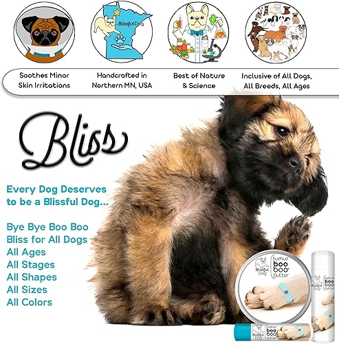 Miniatura 3 de The Blissful Dog Mantequilla Booboo de sabueso en lata de 2 oz