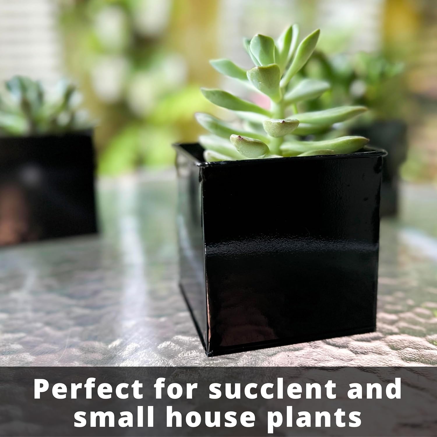 LaLaGreen Wall Planter - 6 Pack, 4 Inch Square Metal Wall Planter for Indoor Plants, Small Black Wall Mounted Flower Pots Outdoor Garden Decoration, Balcony Planters Railings Hanging Outdoor