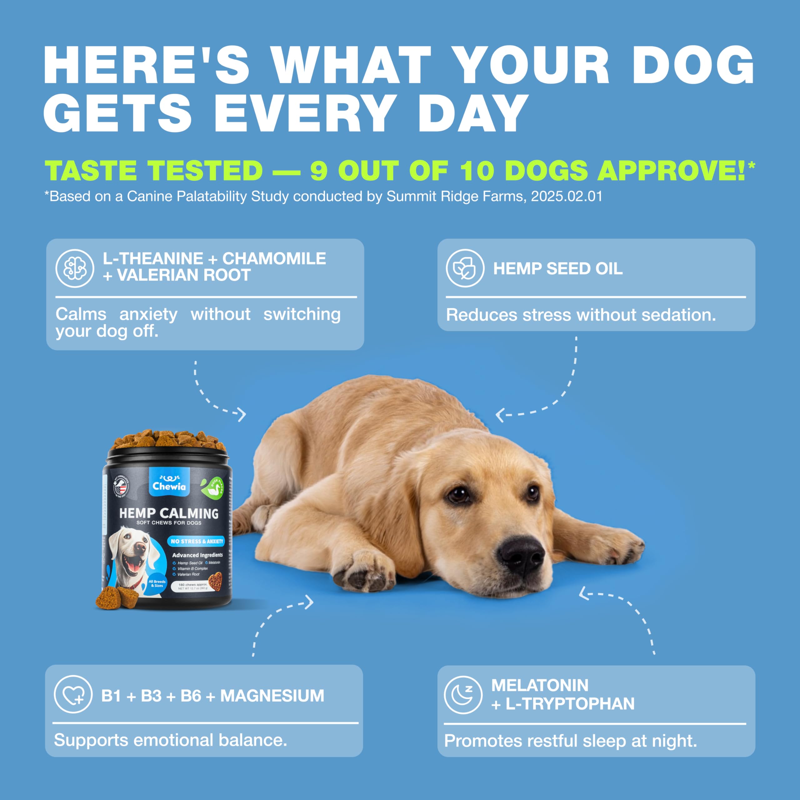 Probiotics for Dogs Gut Health, Digestion, Immunity, Yeast Balance, Itchy Skin, Allergies Support - Dog Probiotic Chews (Travel Pack) with Digestive Enzymes for Gut Flora - Pumpkin and Yeast Powder - image 4
