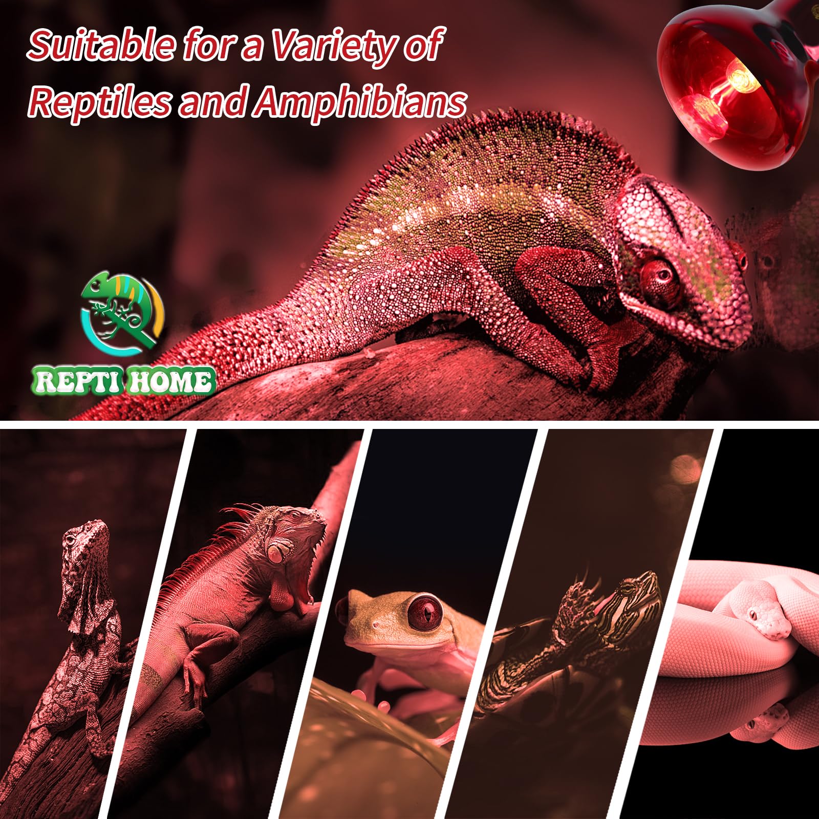 Lampe Chauffante Infrarouge Pour Reptiles, 2 Pièces de 50W Lampe Infrarouge Pour Reptiles Et Amphibiens, Lampe Chauffante Rouge Pour Poulailler, Tortue
