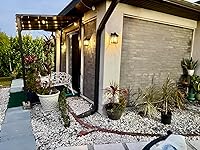 Review Image by Eric Hernandez