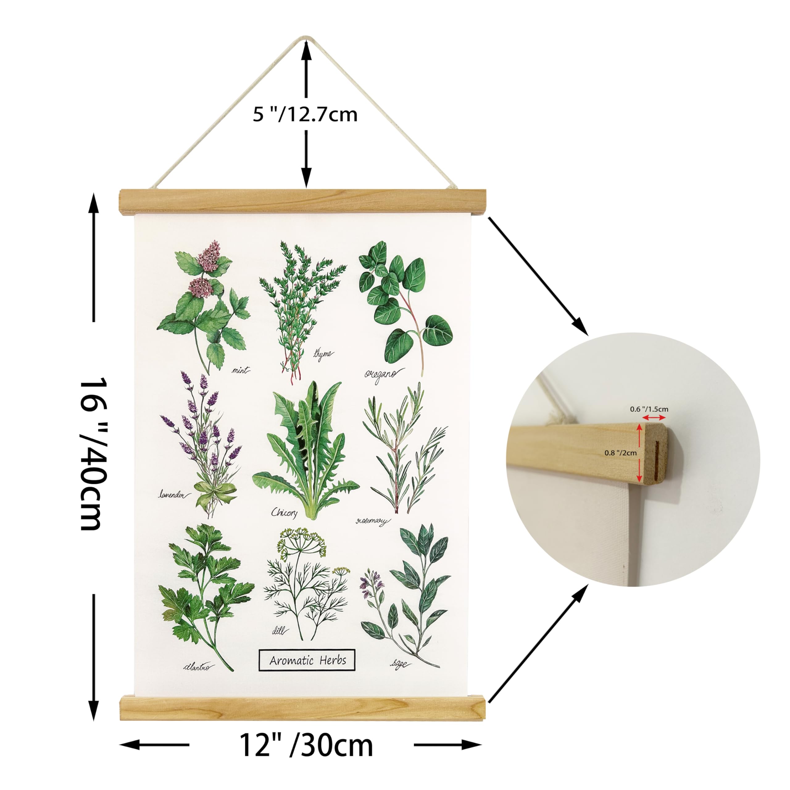 Art mural pour salon Herbes et épices pour la cuisine Toile Art Peinture sur toile Affiches et impression Cuadros Home Deco 50x100cm (19 x39) pas de cadre