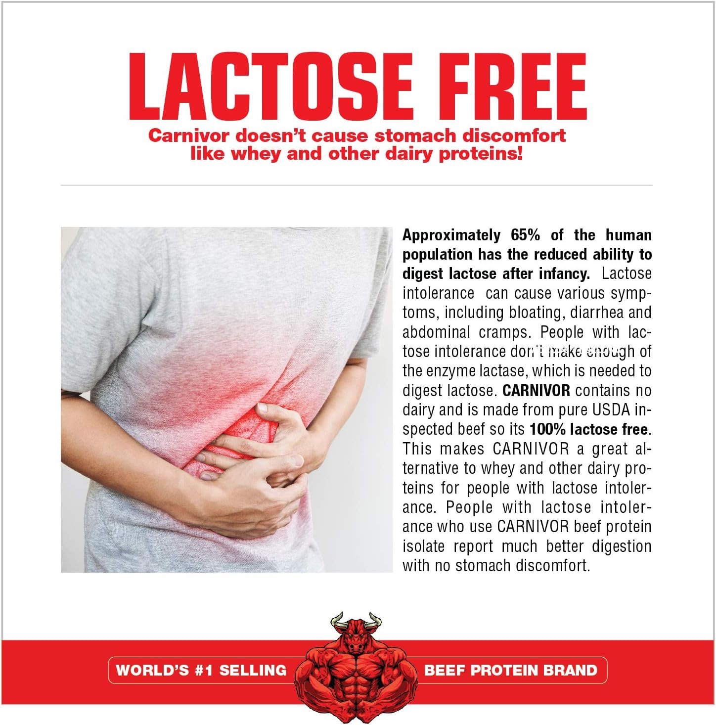 MuscleMeds Carnivor Ready to Drink Protein, Chocolate 16.9 Fl Oz (Pack of 12) : Health & Household