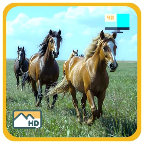Wild Horses Calm – Free Roaming Horses & Peaceful Music