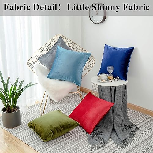 Miniatura 2 de Home Brilliant - Funda de cojín decorativa para el hogar, en terciopelo, para sofá, silla, cama, Terciopelo, I-duck - Huevo, color azul, 18" x 18"