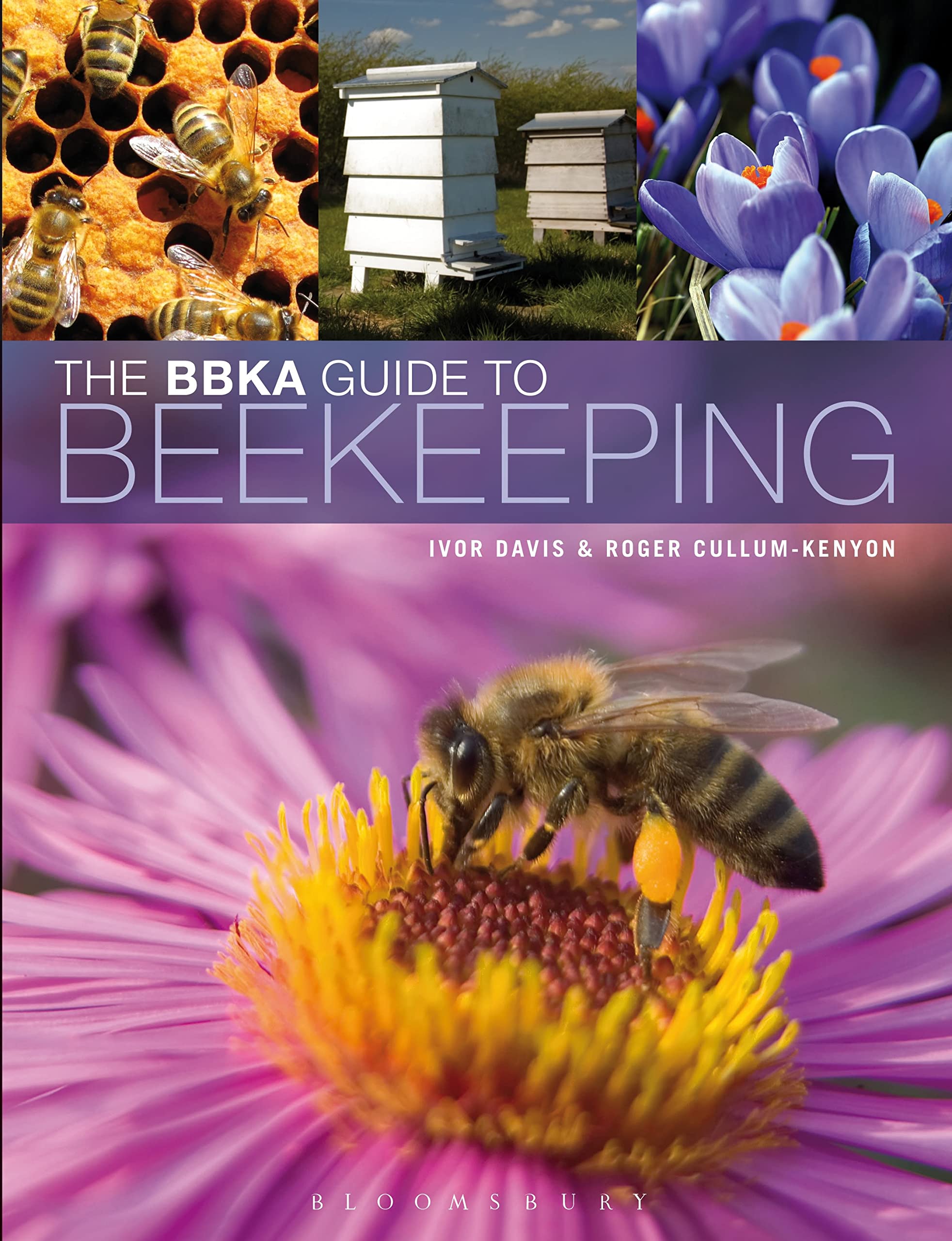 Buy British Beekeeping Association Guide To Beekeeping — BookShops.in