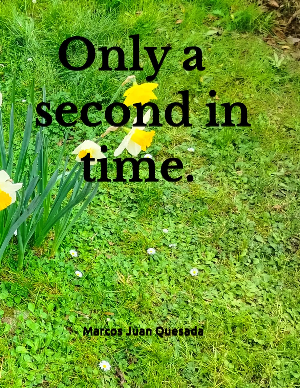 Only a second in time.