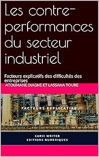 Les contre-performances du secteur industriel au Sénégal: Facteurs explicatifs des difficultés des entreprises