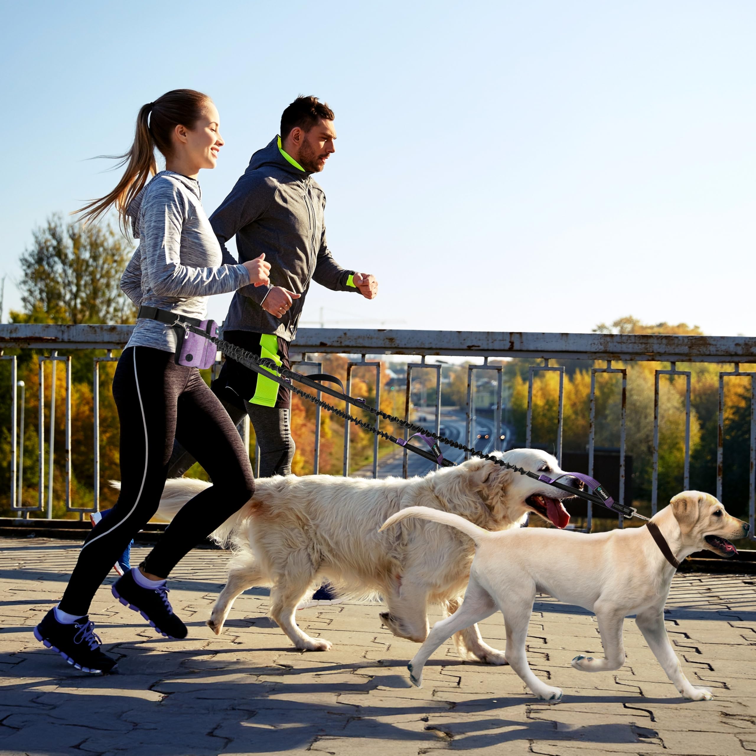 PetAmi Correa de Perro Manos Libres 2 Perros, Correa Ajustable para pasear al Perro, Bolsa de Accesorios de riñonera, Correa elástica Doble para Correr, Senderismo, Trotar,