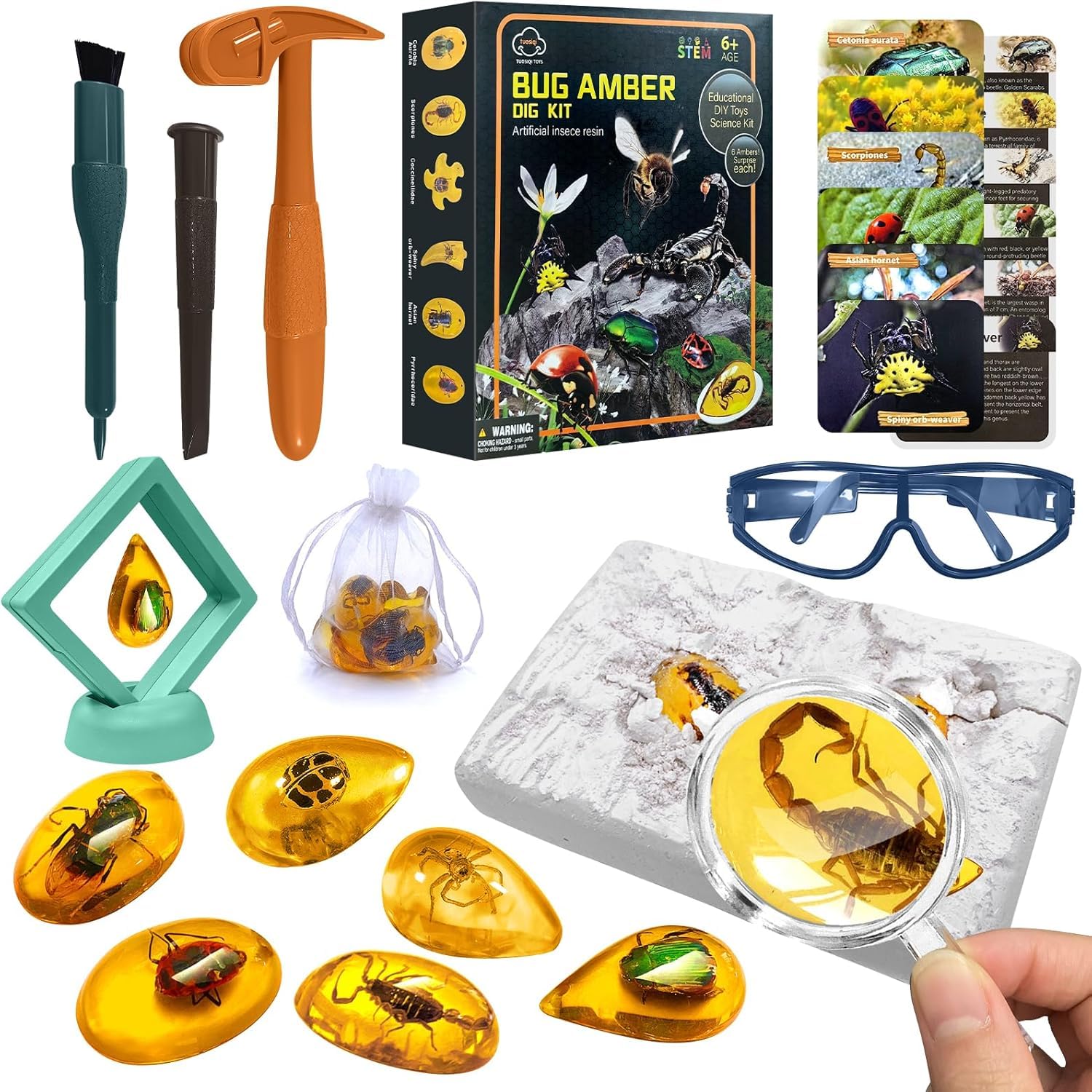 NALACAL Amber Gemstone Dig Kit, Insect Digging Kit Set For Kids, Gem Stones Digging Kit Set, 6 Real Life Gems & Amber, Educational Toys Fossils Science Kit with glasses and display frame Gifts