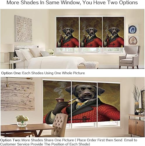 Miniatura 10 de LETAU Persianas opacas para ventana, persianas enrollables impresas con protección UV para el hogar, puerta, restaurante, hotel