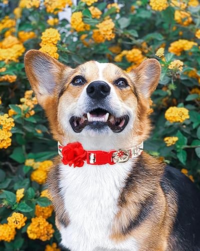 Miniatura 9 de Collares navideños para perros con flor roja extraíble, collar grande para perros hembras