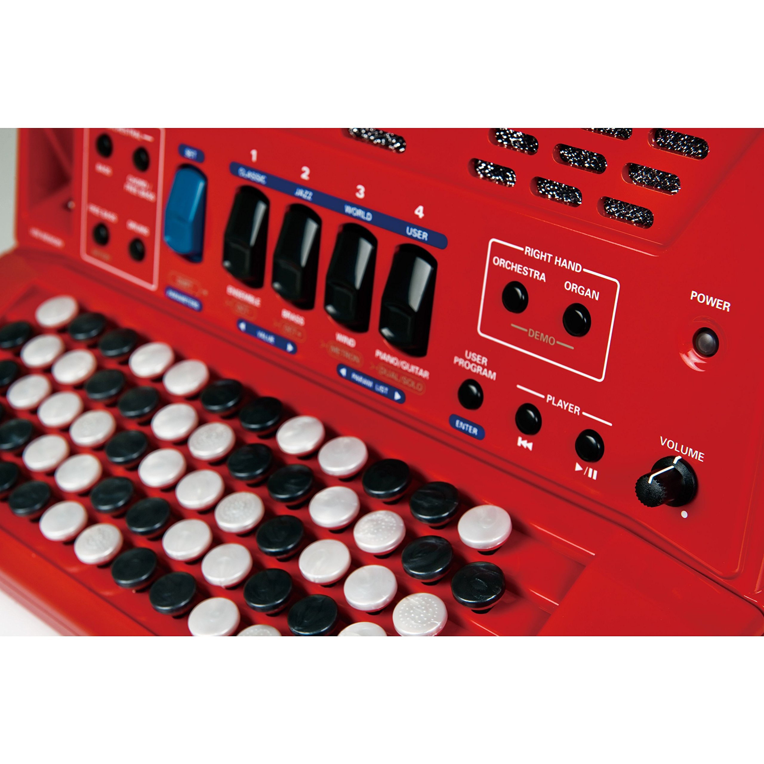 Edirol 3628867031 – Fisarmonica Roland FR-1 X B RD