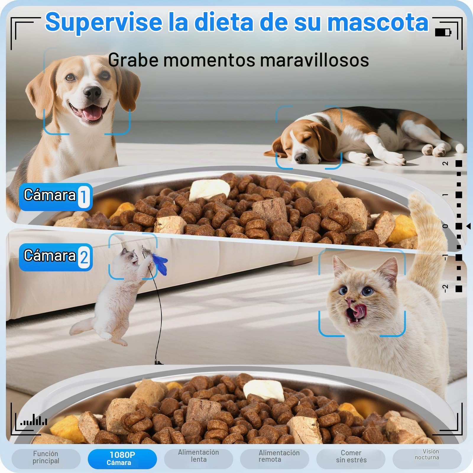 Comedero automático para Gatos con Doble cámara: dispensador automático Doble de 7 litros con visión Nocturna para 2 Gatos