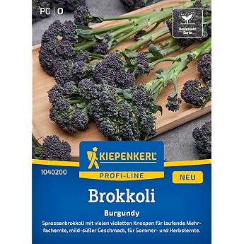 Kiepenkerl 1040200 Broccoli Seed Burgundy Vegetable Seed