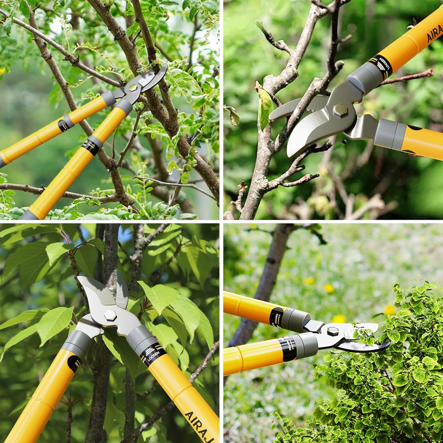 AIRAJ Coupe Branche Télescopiques 42-61cm, Coupe-Branche à Contre-lame avec Lame SK5 et Revêtement Anti-Adhésif-Coupe Propre Jusqu'à 3.5cm, Sécateur de Jardin Pour Branches Sèches et Humides