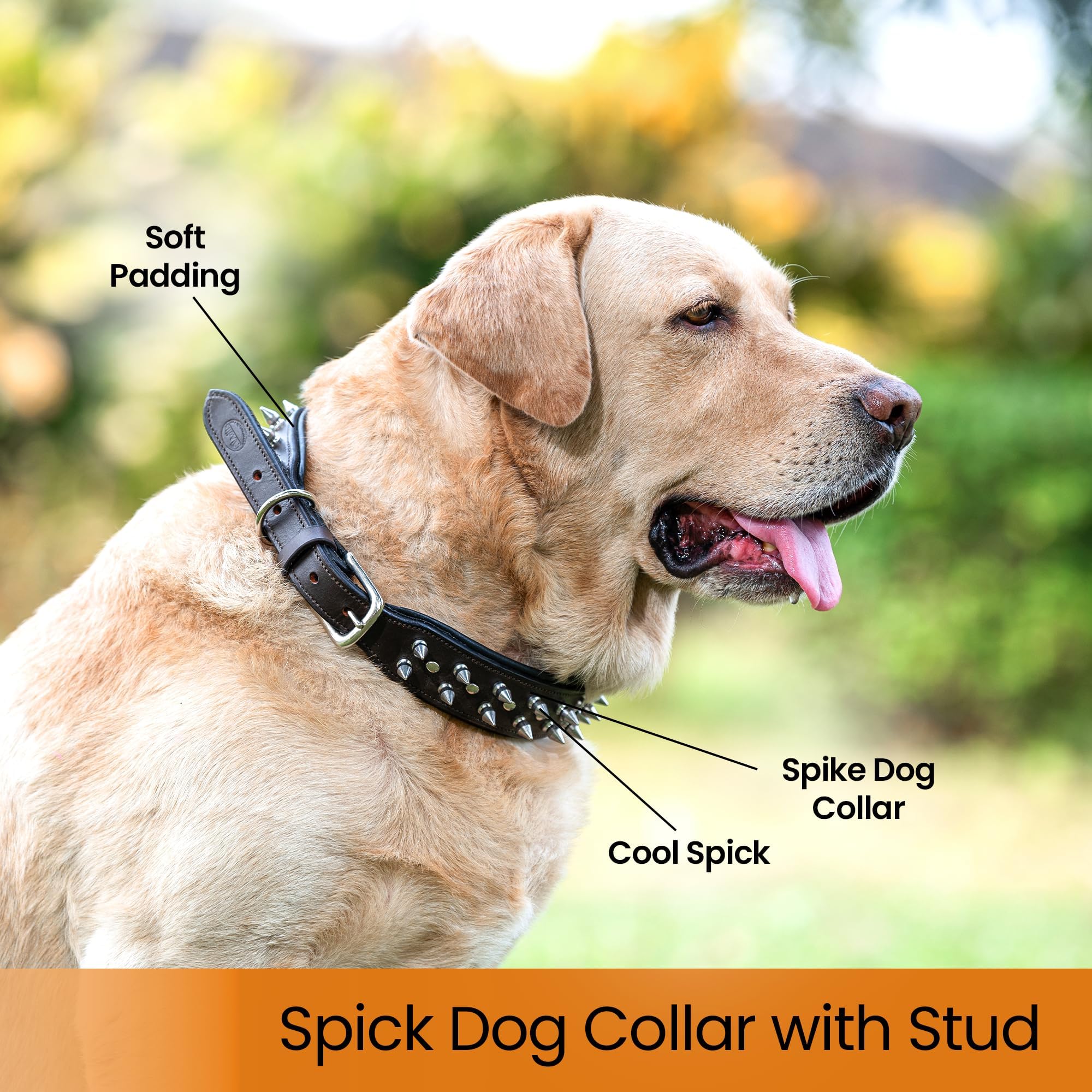 sparrow daughter Genuine Leather Spiked Studded Dog Collar | Adjustable and Stylish Neck Belt for All Breeds - Size :L,Dark Brown, 60 x 50 cm 4