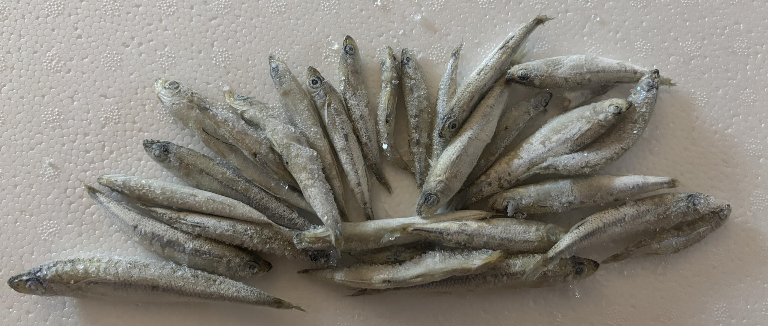 Gefrorene Stinte 1kg – Frostfutter für Raubfische, Reptilien, Katzen & Schildkröten – Fischfrostfutter lose geschüttet – Einzeln entnehmbar – Barf geeignet – Angelköder
