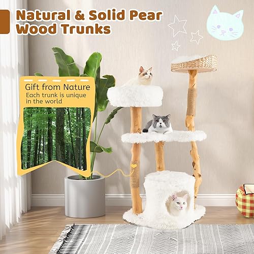 Miniatura 9 de Tangkula Árbol para gatos de interior, torre moderna de madera maciza para gatos con cesta de cola superior, cama para gatos, perca lateral,