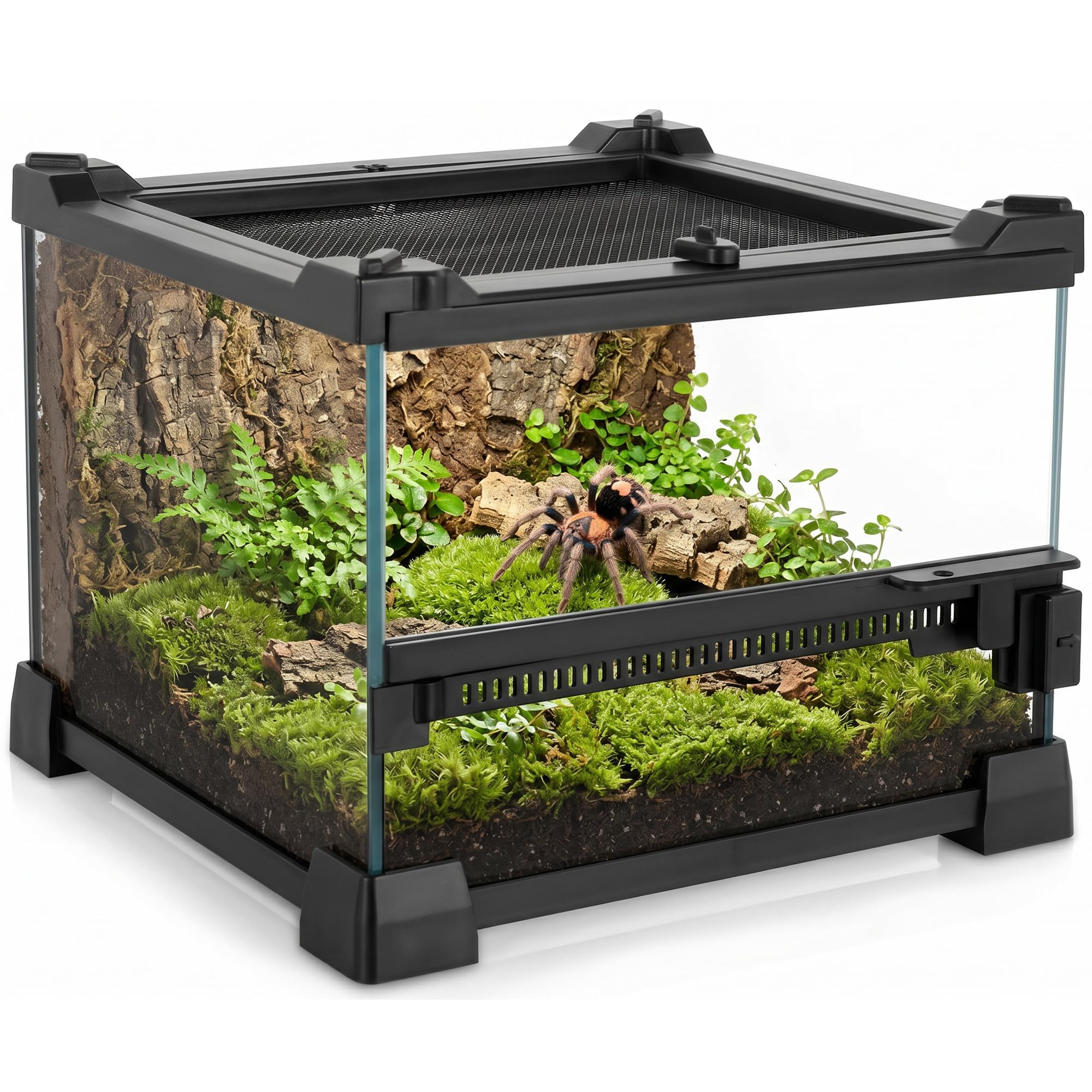 NEPTONION 8"x8"x6" Reptile Terrarium, Single-Door Glass Terrestrial Vivarium for Small Arthropod Pets Such as Trinidad Dwarf Tiger Tarantulas, with Lock & Waterproof Deep Base Below Front Door