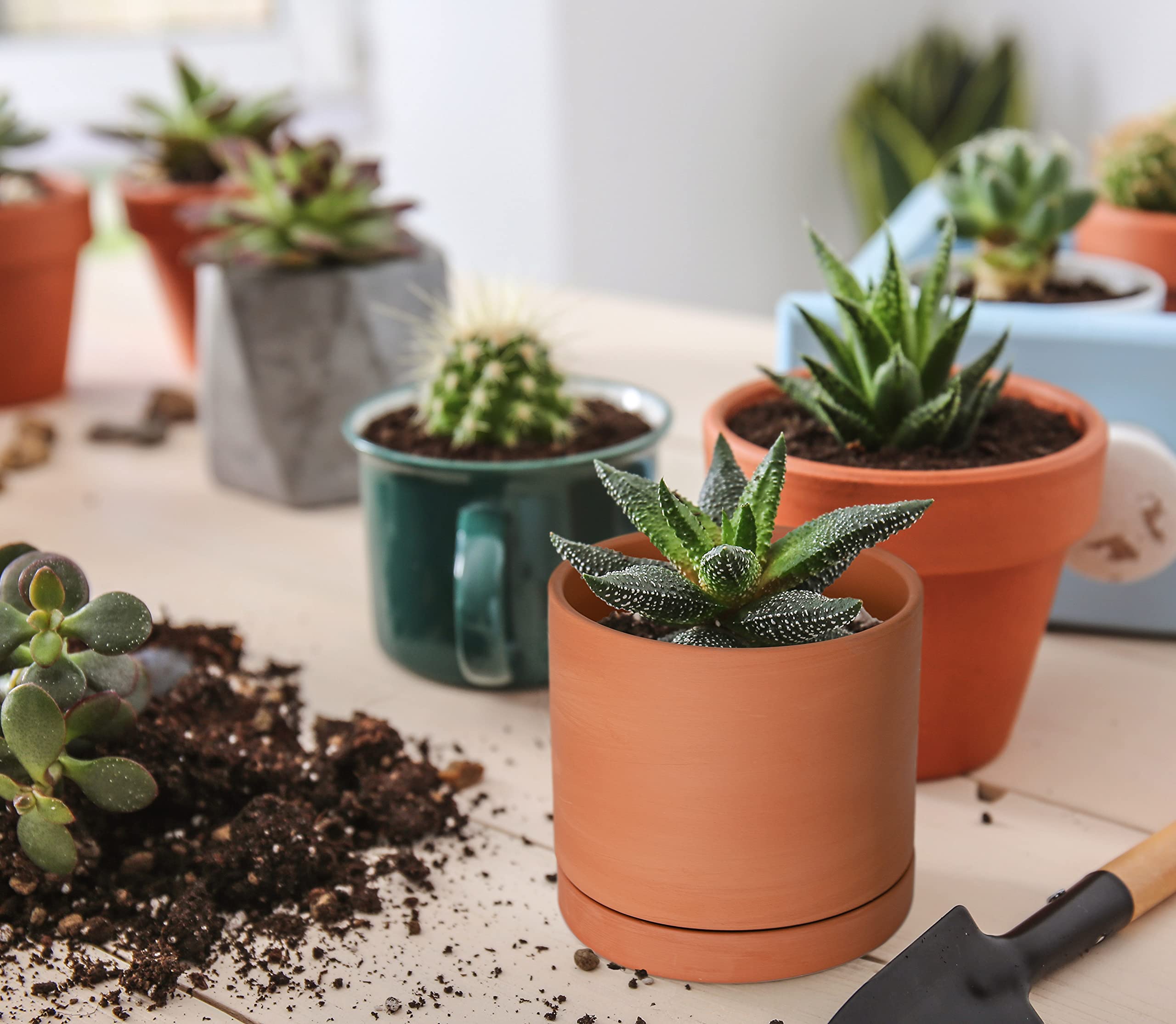 Amazon.com : D'vine Dev X-Small 4 Inch Terracotta Plant Pot with
