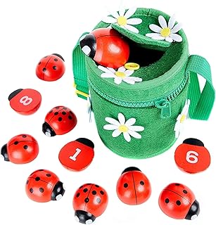 Impulse Educational Game Counting Learning Numbers Learn to Count Ladybird - Montessori Concept for Girls & Boys from 2 Years Wooden Toy as a Gift - Promote Fine Motor Skills & Playfully Learning with