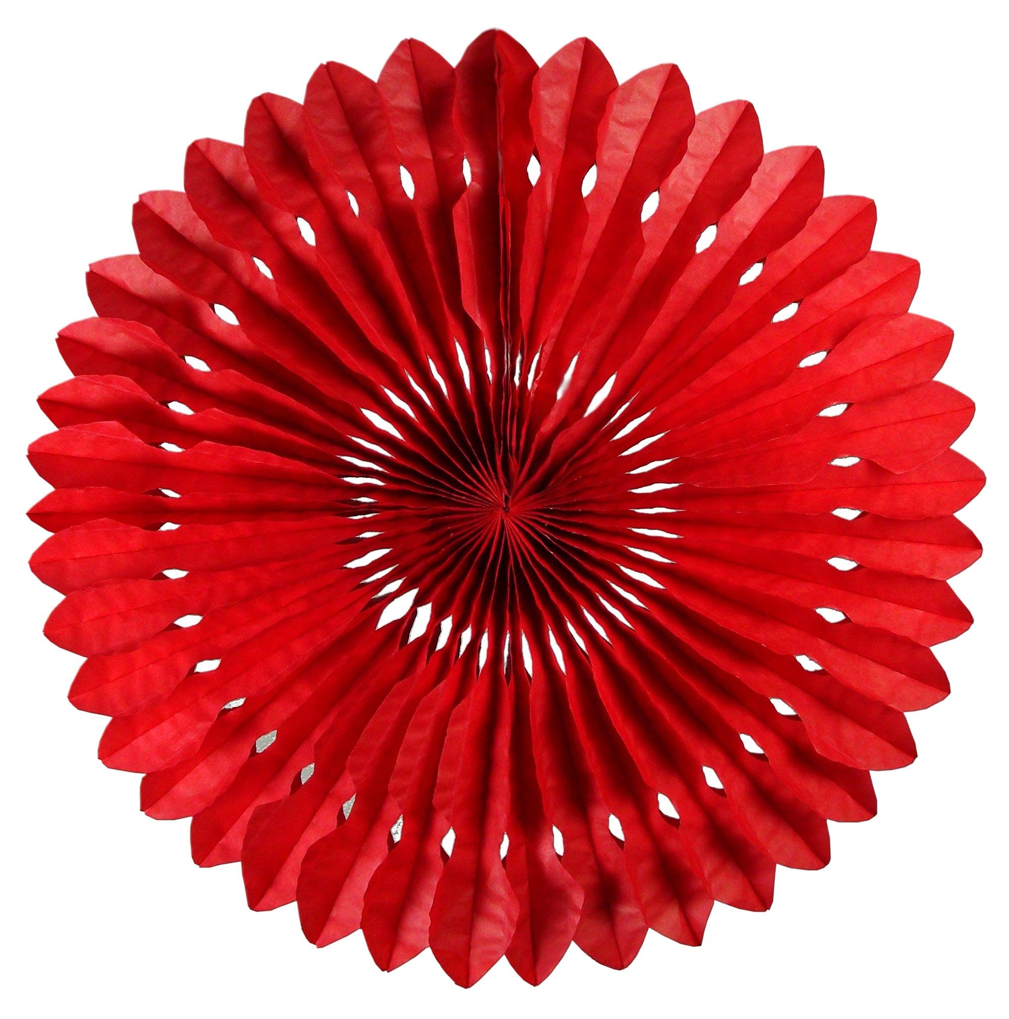 EinsSein 1x Ventagli di Carta Appesi Attrezzatura da Sole 37cm Lilla Matrimonio Carta velina Decorativa Pom Pom veline Pompom Pompon Decorazioni Fiori di marmitta Moto Decorativi crespa giganti PON