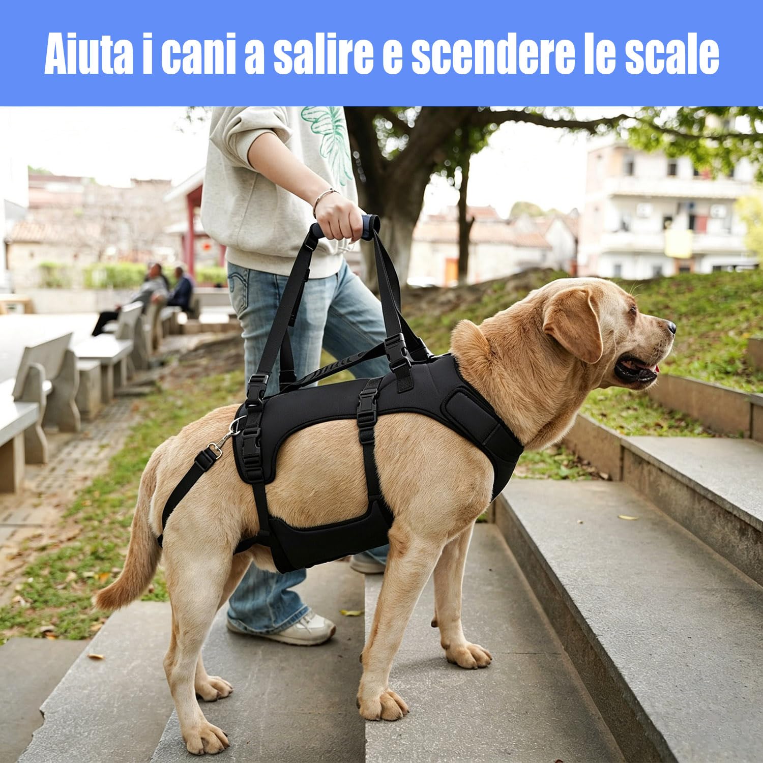COODEO Imbracatura per Cane, Gilet di Supporto Completo e Recupero, Regolabile e Traspirante, per Cani Anziani, Disabili, con Lesioni Articolari, Artrite e Paralisi. (Nero, L)