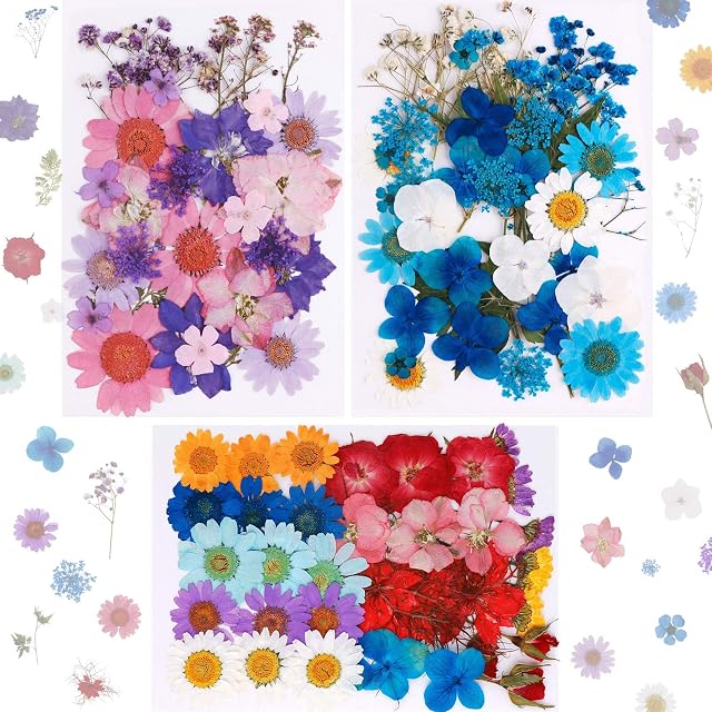 101PCS Real Dried Pressed Flowers Natural Dried Flowers Multicolor Nail Dry Flowers for Resin, Scrapbooking, DIY Candle, Jewelry Pendant Crafts Making