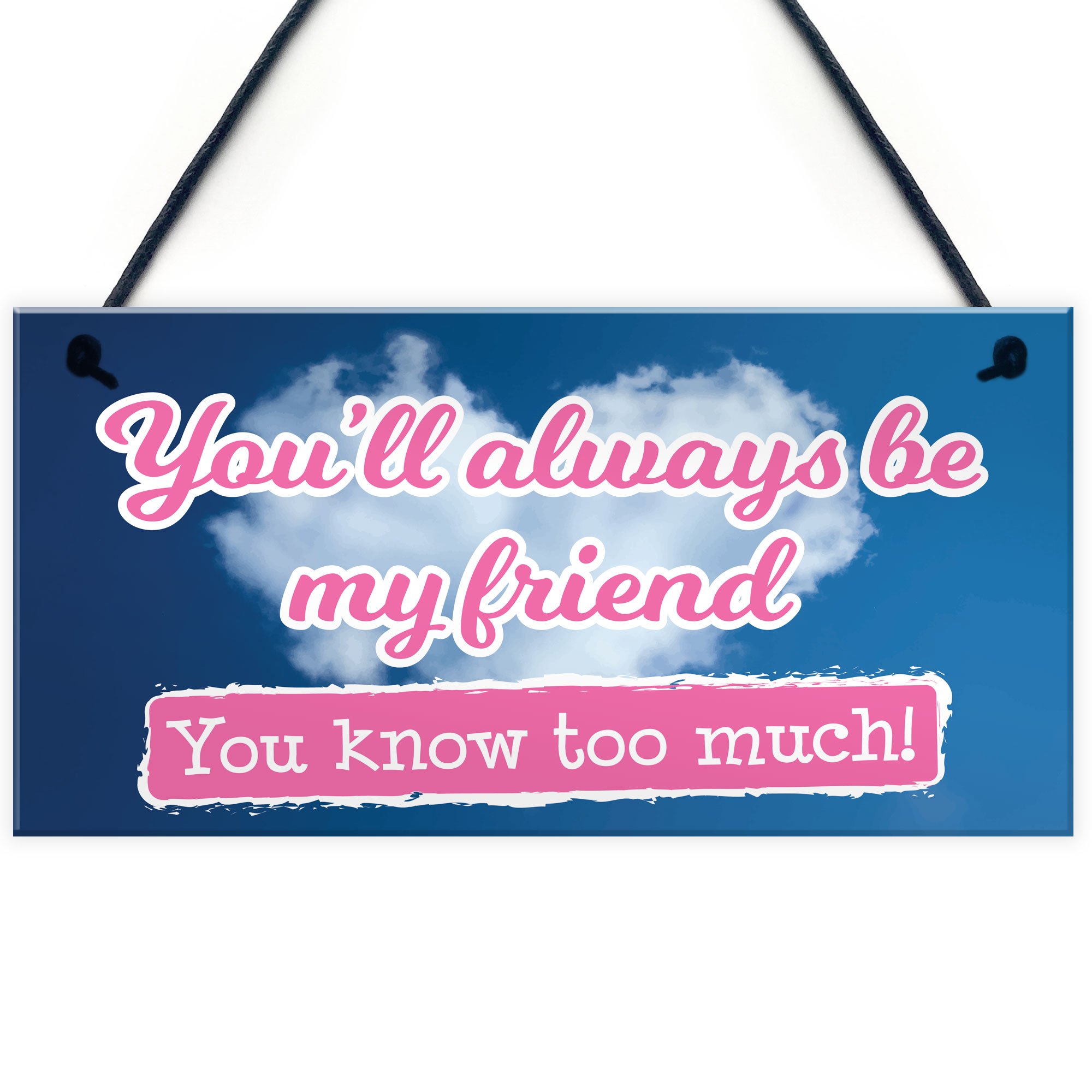 Red Ocean You'll Always Be My Friend Novelty Friendship Gift Hanging Plaque Sign