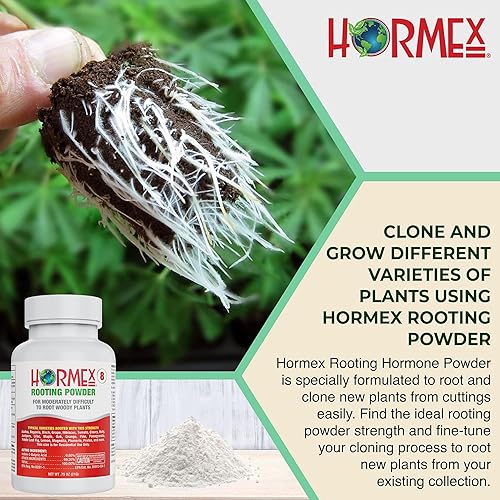 Miniatura 8 de Hormex Polvo de enraizamiento #8 (paquete de 1) - Hormona de enraizamiento para plantas moderadamente difíciles de raíces - Forma rápida y fácil de