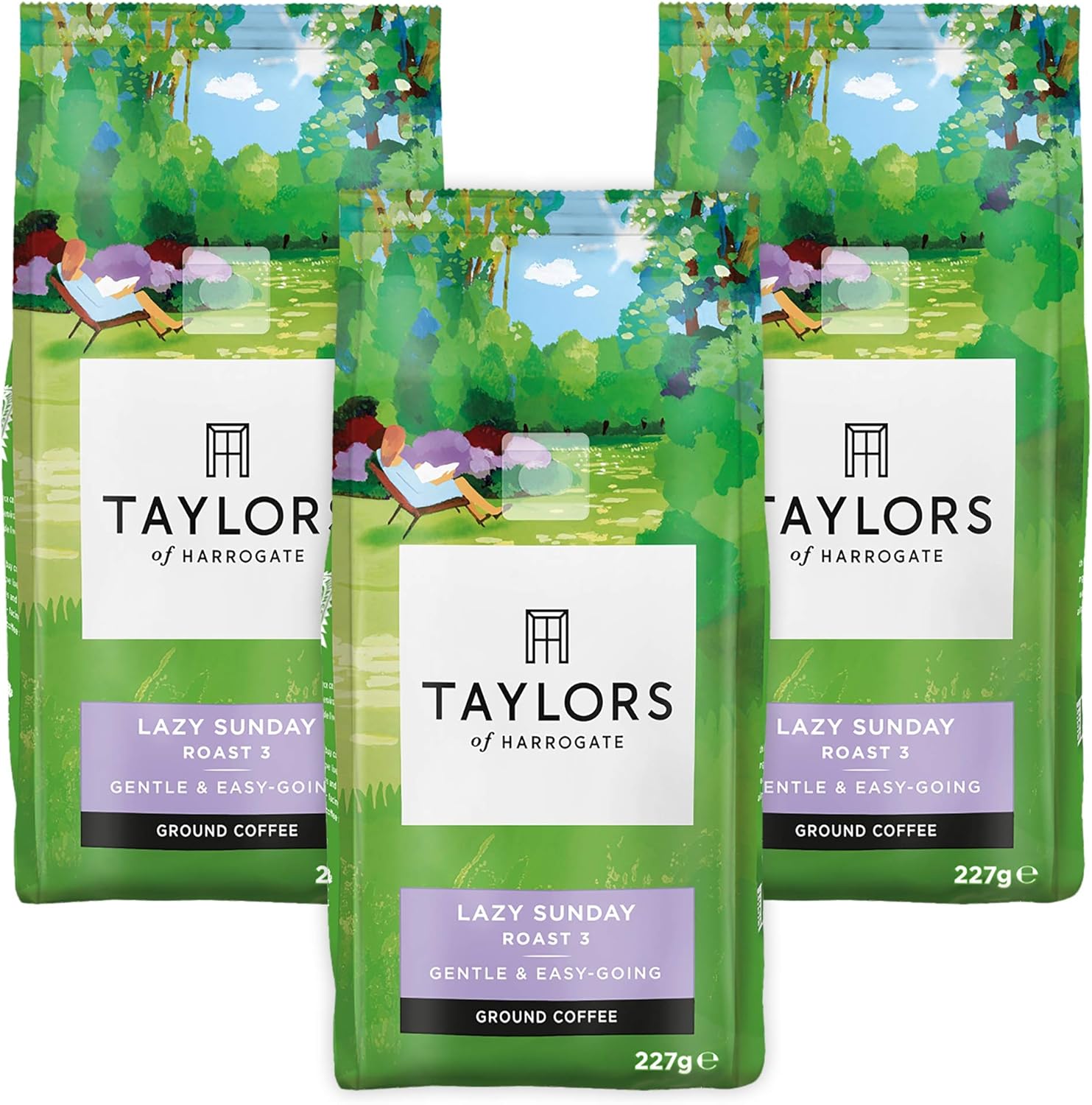 Taylors Of Harrogate Lazy Sunday Ground Coffee 227 G (Pack of 3)