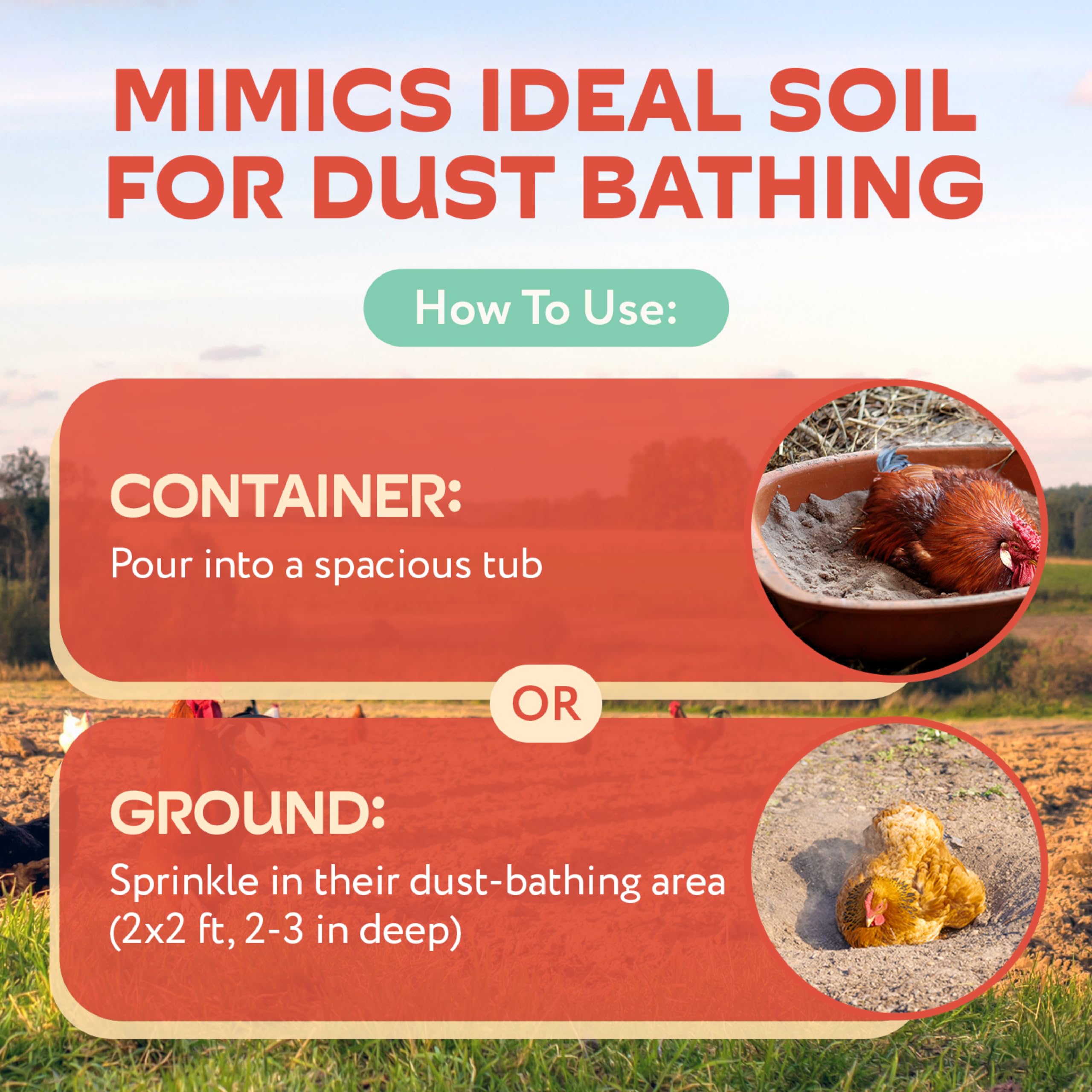 Snapklik.com : 8lb XL Chicken Dust Bath - White Volcanic Ash Dust Bath ...