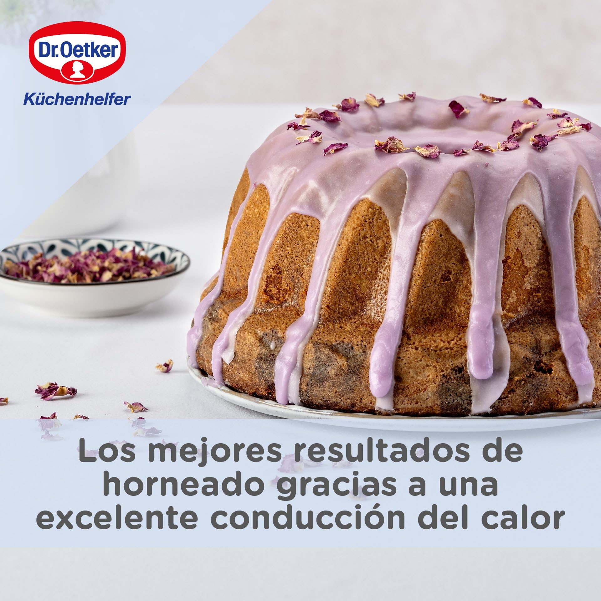 Dr. Oetker Molde Rosco Alto redondo para bizcochos, flanes y tartas, base esmaltada y antiadherente de cuidada calidad, 24cm, 1ud. BACK-LIEBE