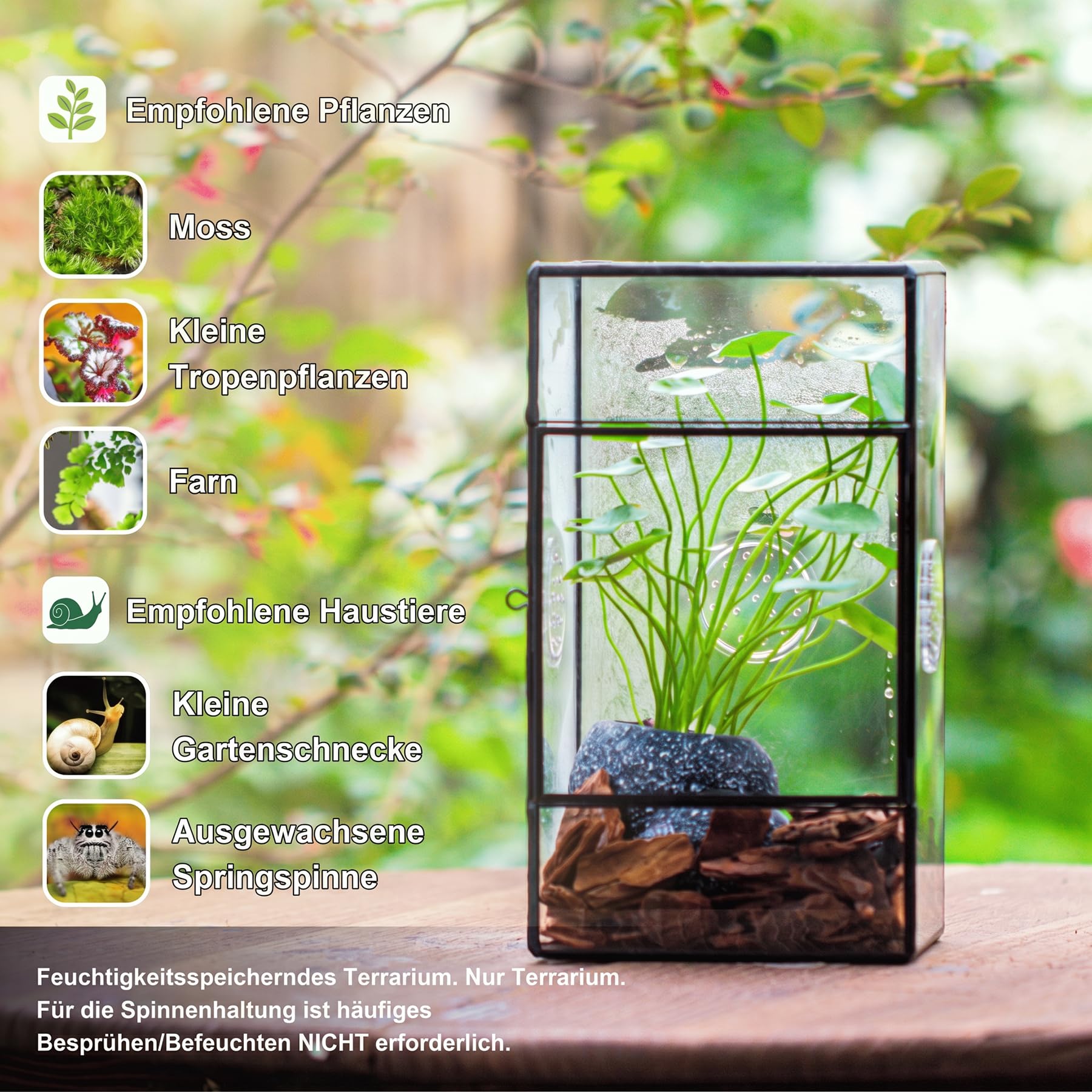 NCYP Rechteckiges Glas Terrarium mit Seitentür und DREI Belüftungslöchern handgefertigt, 13x10x23cm Schwarzes geometrisches Terraium für kleine Insekten Haus Garten Dekoration (nur Terrarium)