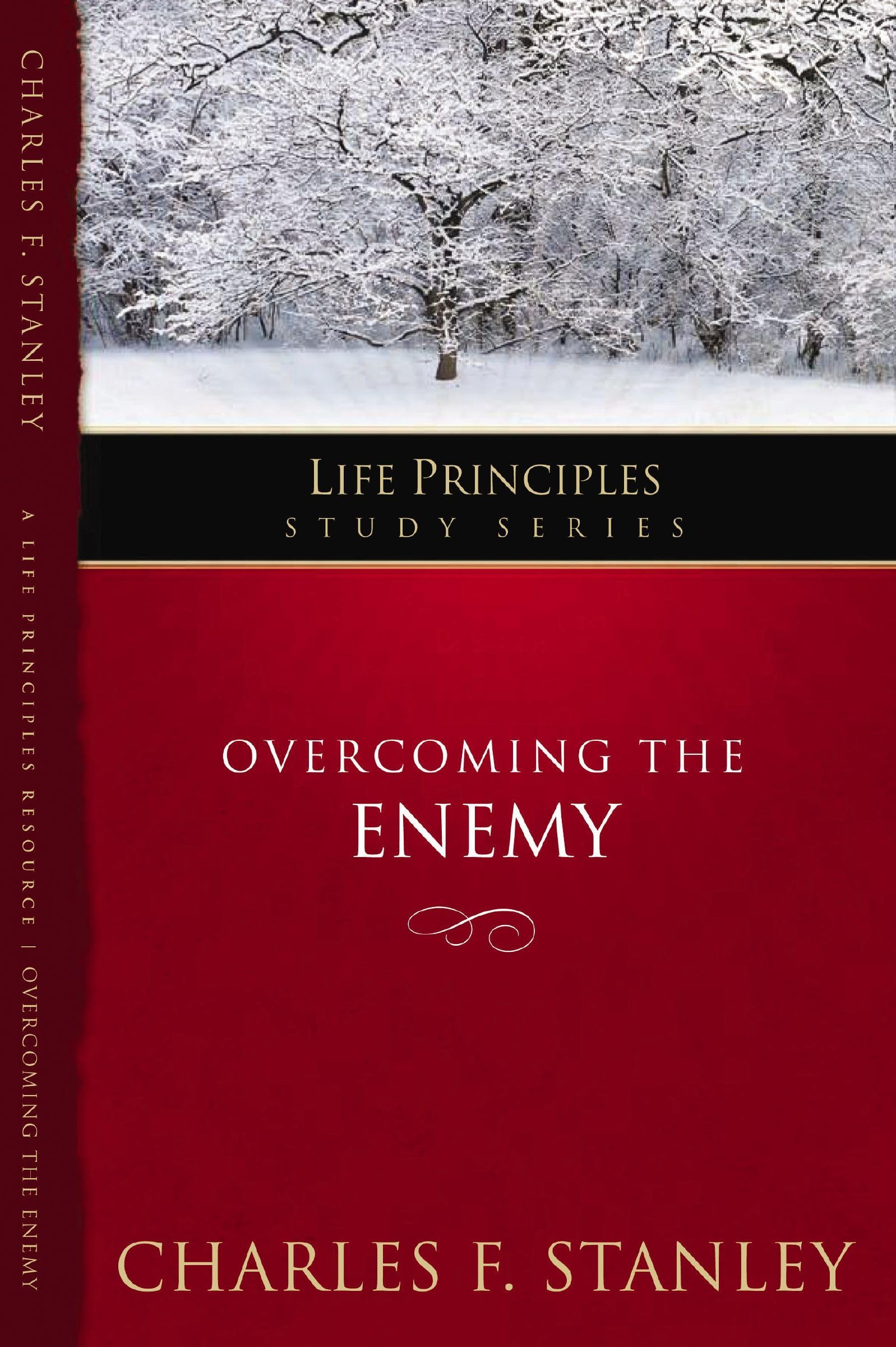 Overcoming the Enemy (Life Principles Study Series)