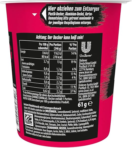 Knorr Asia Noodles Duck Taste Instant Nudeln, leckere Asia Nudeln 61 g - 5