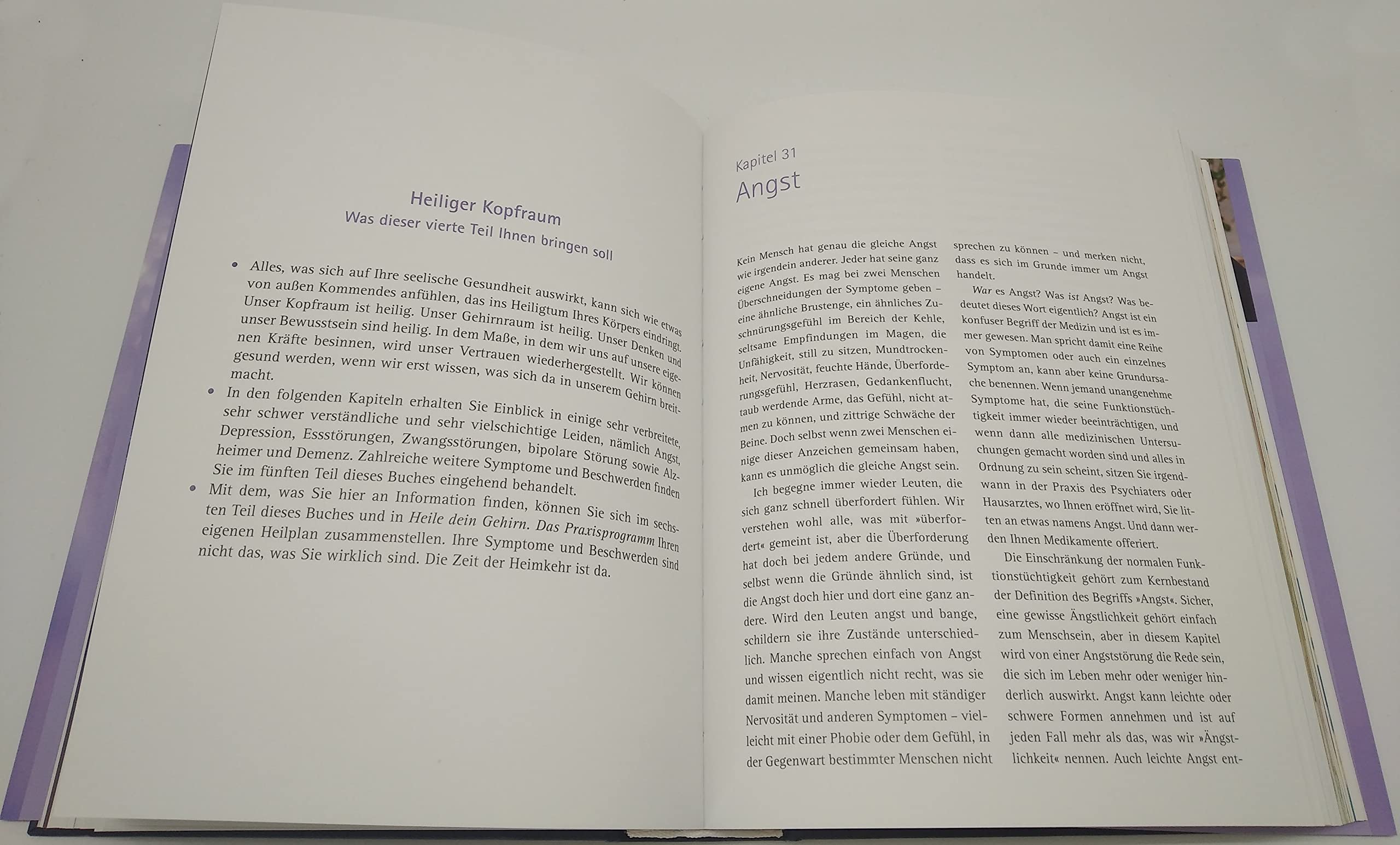 Heile dein Gehirn - Das Basisbuch: Die Wahrheit über Angstzustände, Depression, Long Covid, chronische Erschöpfung, Alzheimer und Demenz - Schutz und Heilung für unser wichtigstes Organ