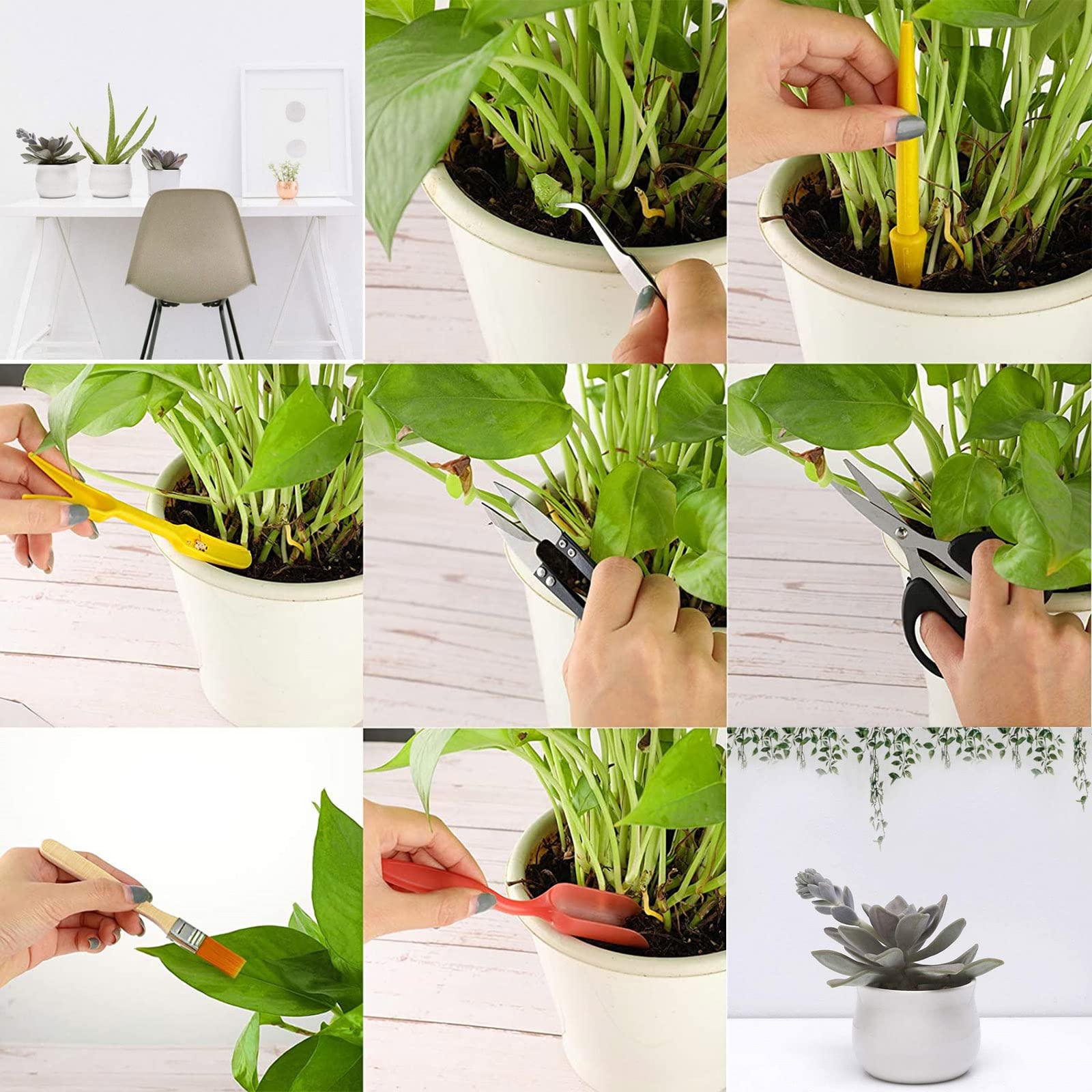 Kit Attrezzi Bonsai 13 Pezzi HAPPY SEED Con Borsa - Set Professionale Per Giardinaggio E Cura Piante - Foto 9