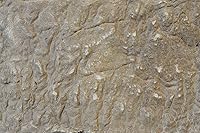 Vista 2 de Tru Tex ELEPHANT SKIN - Funda de rodillo con textura para hormigón, vertical, retoques, encimeras, superposición, patrones rápidos, fáciles de usar